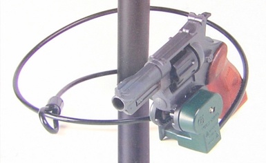 A cable gun lock